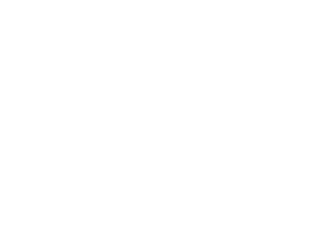 shinywall logo